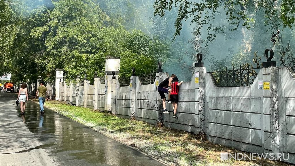 Новый День: В Екатеринбурге загорелось Михайловское кладбище (ФОТО)