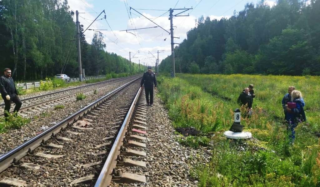 Новый День: На железной дороге под Екатеринбургом обнаружен труп мужчины (ФОТО)