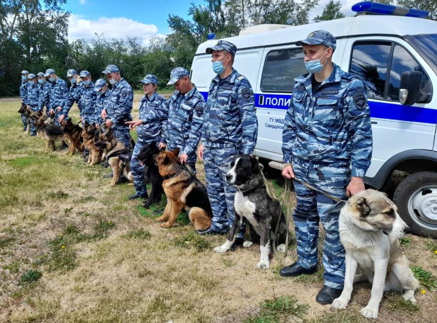 Новый День: В 2021 году полицейские собаки помогли раскрыть 429 преступлений (ФОТО)