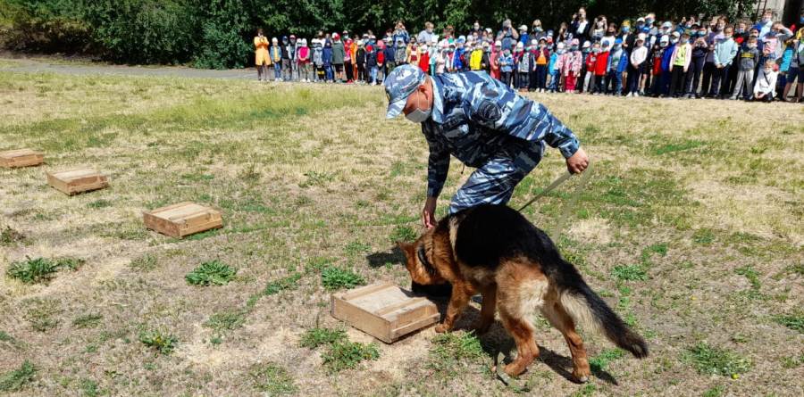 Новый День: В 2021 году полицейские собаки помогли раскрыть 429 преступлений (ФОТО)