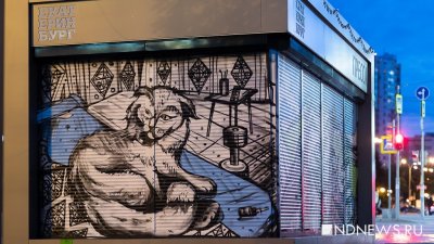 Екатеринбуржцам предлагают выбрать стены для граффити