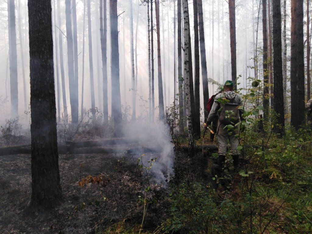 Новый День: Смог в Екатеринбурге вызван крупным лесным пожаром под Первоуральском