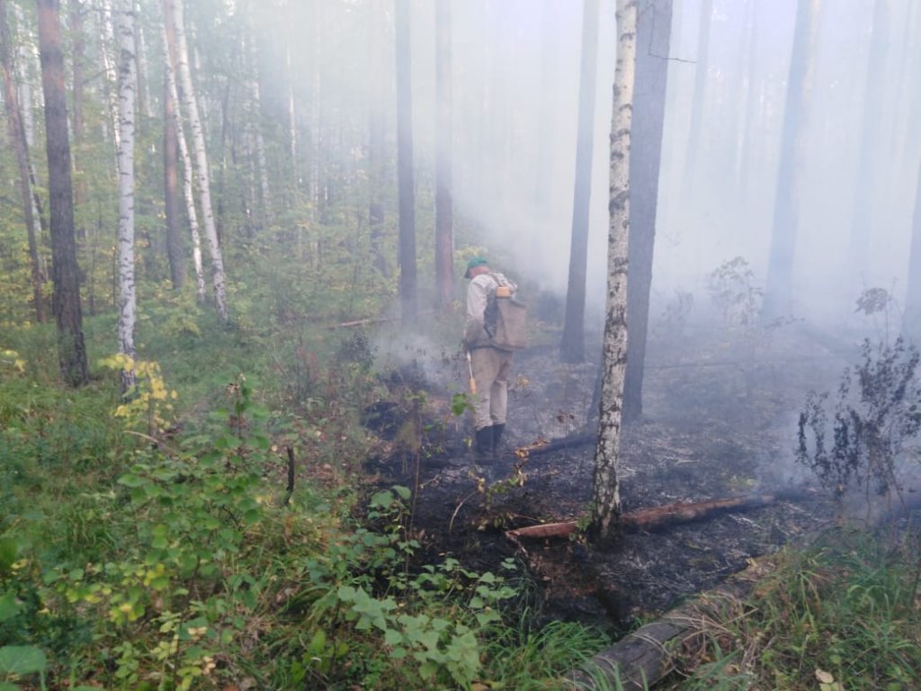 Новый День: Смог в Екатеринбурге вызван крупным лесным пожаром под Первоуральском