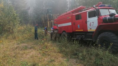 Площадь пожара в районе озера Глухое увеличилась до 240 гектаров