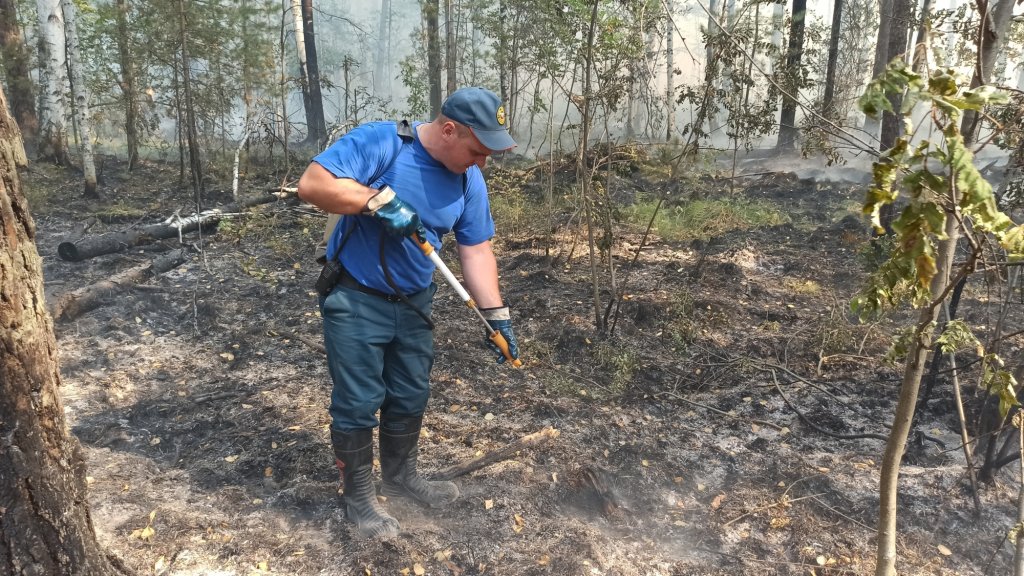 Новый День: Природный пожар под Первоуральском разгорается. Выгорело уже 760 гектаров леса (ФОТО)