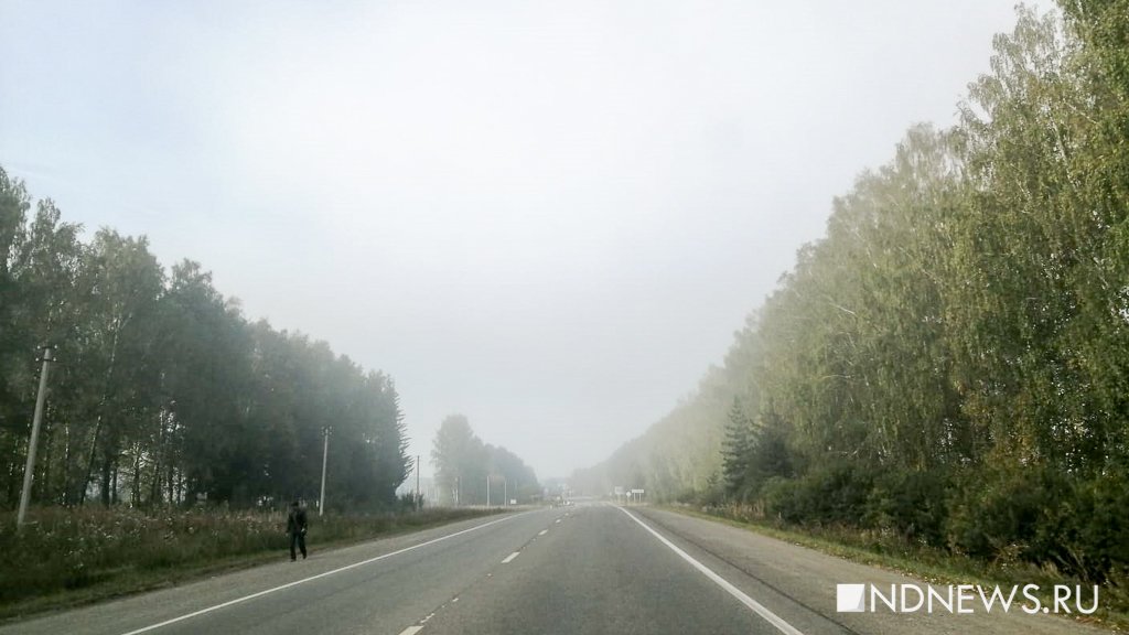Новый День: В Свердловской области горит почти 8 тысяч гектаров леса (ФОТО)