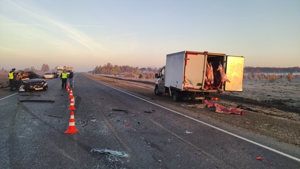 Новый День: В Каменске-Уральском легковушка налетела на грузовик из-за тумана, двое погибли (ФОТО)