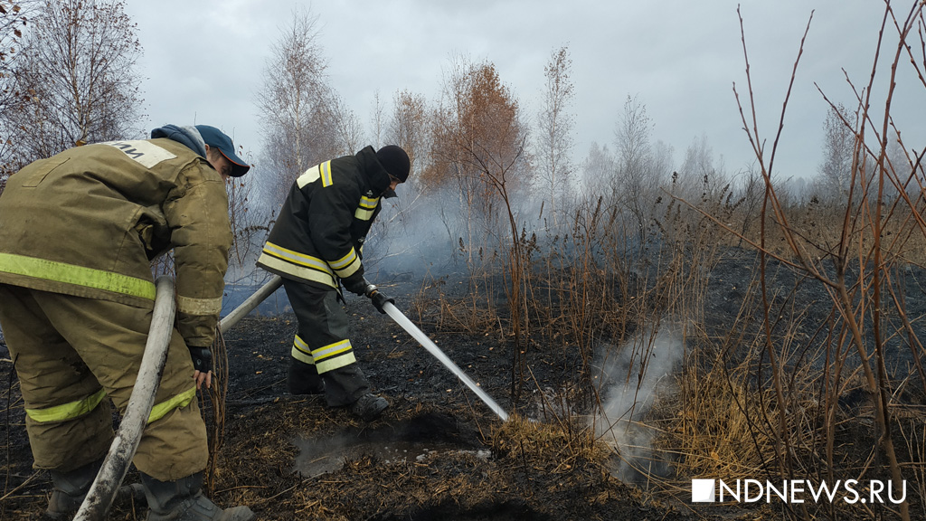 Новый День: Беспилотник, квадроцикл, полсотни пожарных и спецтехника – как спасатели борются с тлеющим торфяником в Екатеринбурге