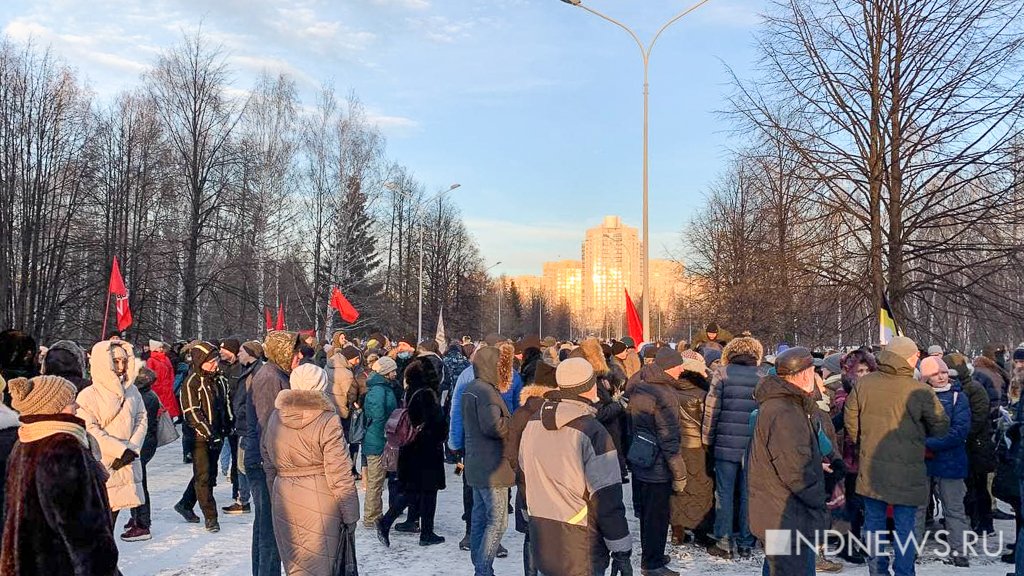 Снеговики с плакатами, суды и обращения к Путину: как протестуют против QR-кодов в «предвыборных» регионах