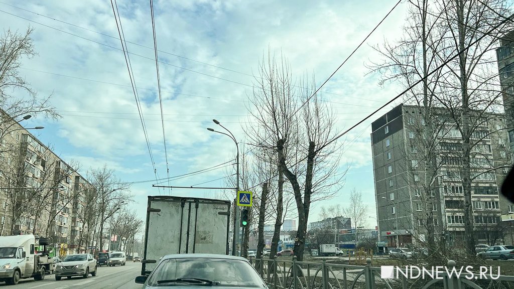 Новый День: В Екатеринбурге за весну обрезали более 1500 деревьев (ФОТО)