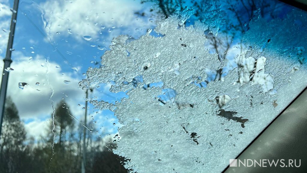 Новый День: В Свердловской области выпал снег, ожидаются заморозки до -5 градусов (ФОТО)