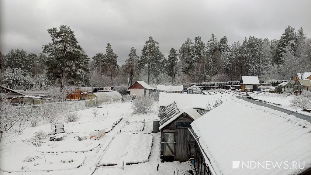 Новый День: В Свердловской области выпал снег, ожидаются заморозки до -5 градусов (ФОТО)