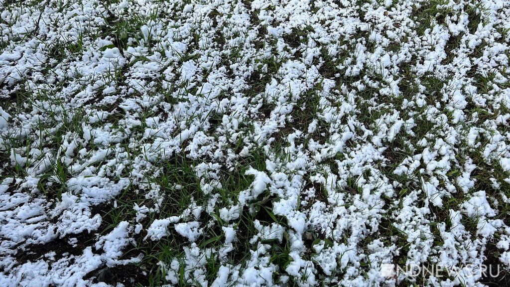 Ожидаются ли заморозки в подмосковье. Заморозки до -5. Где в Свердловской области выпал снег. Заморозки в Мордовии май 2017 год. Выпал снег в 90 х годах в Свердловской области в мае.