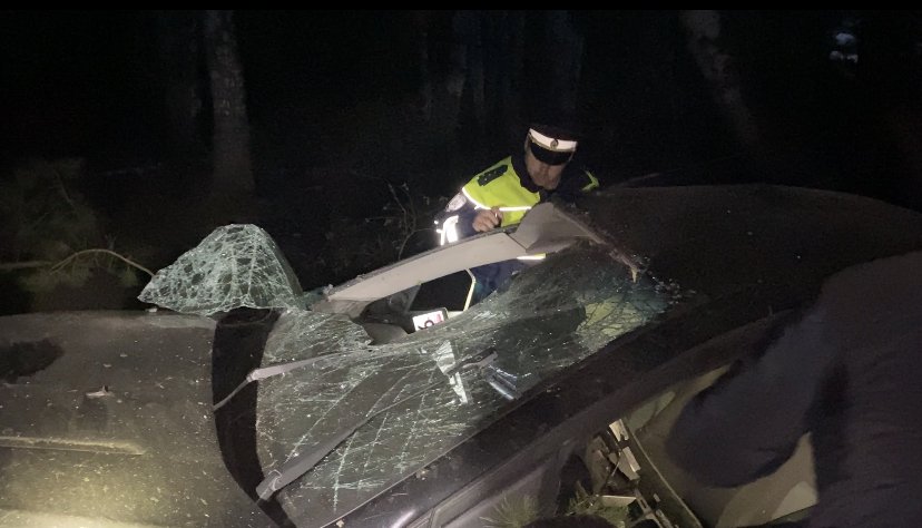Новый День: Житель Ирбита разбился, врезавшись на машине в дерево