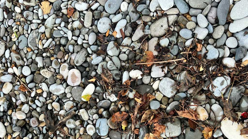 Новый День: Мусор и грязная вода: пляжи Сочи закрыты второй день из-за шторма (ФОТО)
