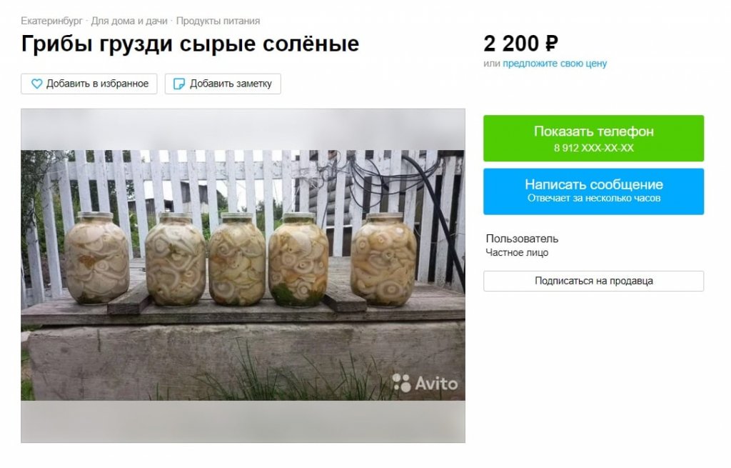 Новый День: Екатеринбуржцы бойко торгуют грибами в интернете (ФОТО)