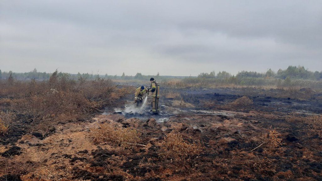 Новый День: В Сысертском округе введен режим ЧС из-за торфяного пожара (ФОТО)