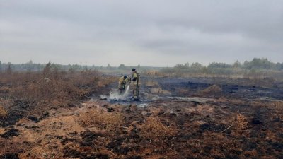 На Среднем Урале продолжают гореть почти 200 га леса