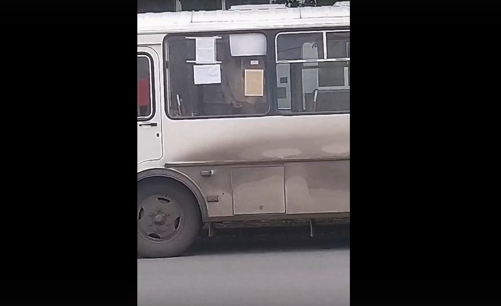 Новый День: Жителей Кургана напугал онанист в городском автобусе