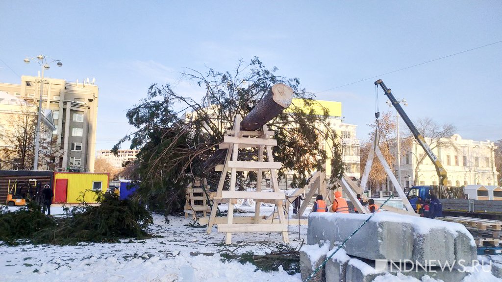Новый День: В Екатеринбург приехала главная новогодняя елка (ФОТО)