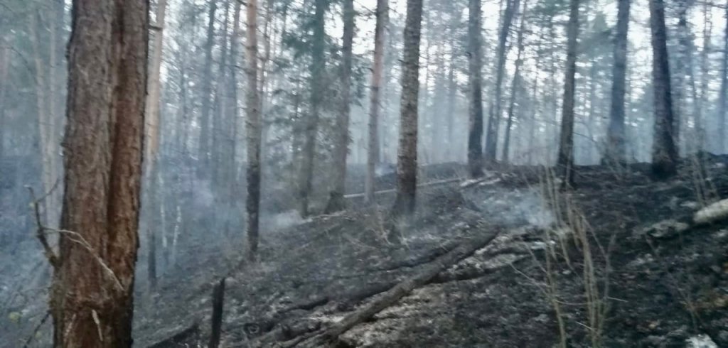 Новый День: В природном парке Оленьи ручьи сгорело более 20 га леса. Подозревают туристов (ФОТО)