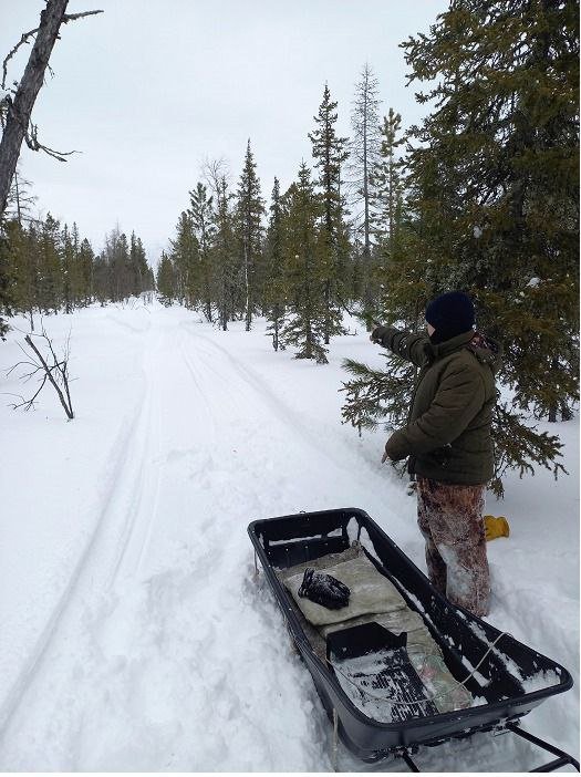 Дело об убийстве оленевода на Ямале передают в суд