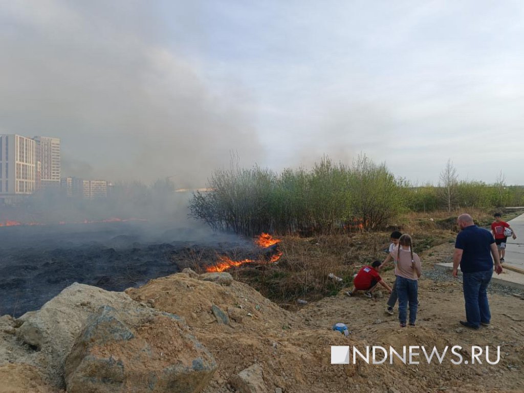 Новый День: Пожары добрались до Екатеринбурга – огонь уже в черте города (ФОТО)