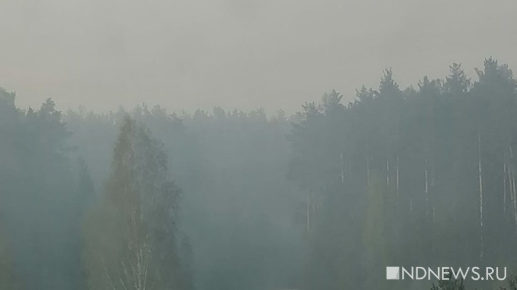 Новый День: Реж уже неделю в дыму: теперь горит лес рядом с поселком Костоусово (ФОТО)