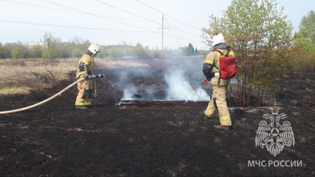 Новый День: За сутки в Свердловской области потушили 14 лесных пожаров
