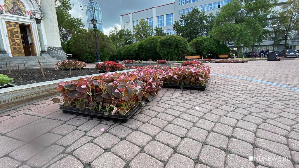Новый День: В цветниках Екатеринбурга весенние растения меняют на летние (ФОТО)