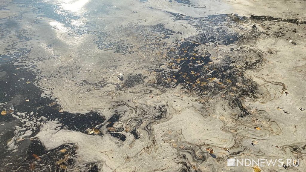 Есть сброс в реку, – в Екатеринбурге разбираются со странной пеной (ФОТО, ВИДЕО)