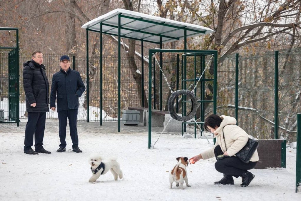 Новый День: В Екатеринбурге на месте нелегальной парковки открыли площадку для выгула собак (ФОТО, ВИДЕО)