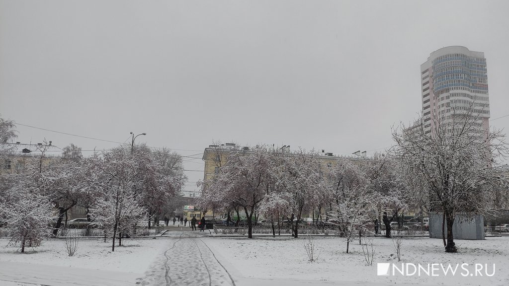 Новый День: Снегопад в Екатеринбурге днем сменится дождем (ФОТО)
