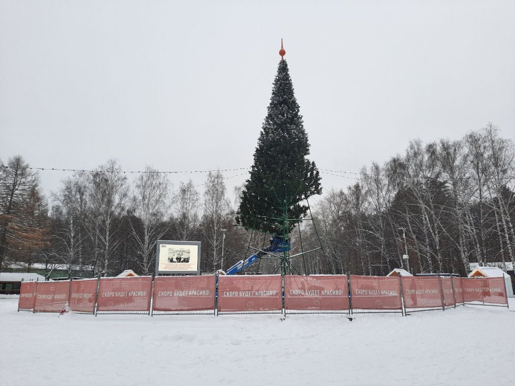 Новый День: В парке Маяковского установили новогоднюю елку (ФОТО)