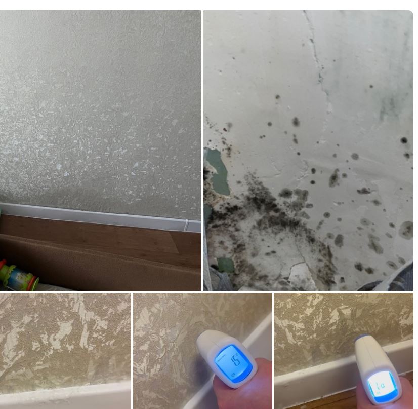 Глава СКР Бастрыкин запросил доклад по жалобе жителей Муравленко на промерзание стен в квартире