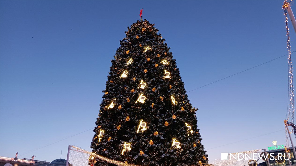 Новый День: В Екатеринбурге открылась пушкинская новогодняя елка (ФОТО)