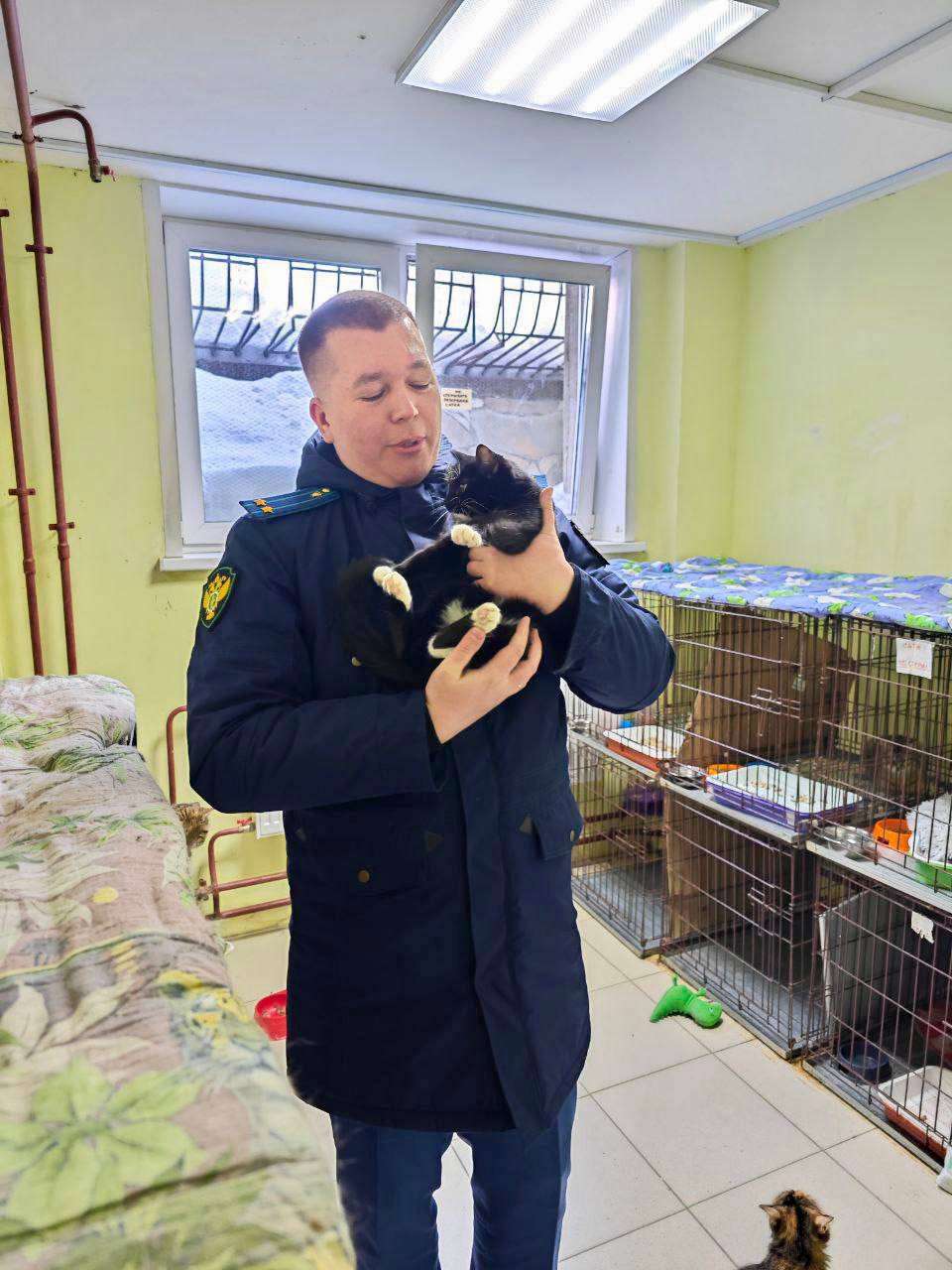 Новый День: Пассажир электрички выбросил кошку в пакете. Теперь она живет у уральского прокурора (ФОТО)