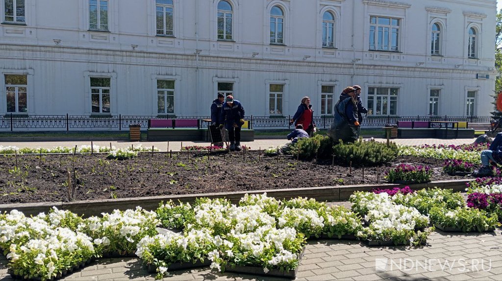 Новый День: В Екатеринбурге обновляют цветники к лету (ФОТО)