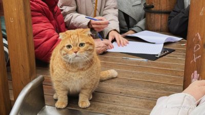 Защитники парка Энгельса побеждают в голосовании