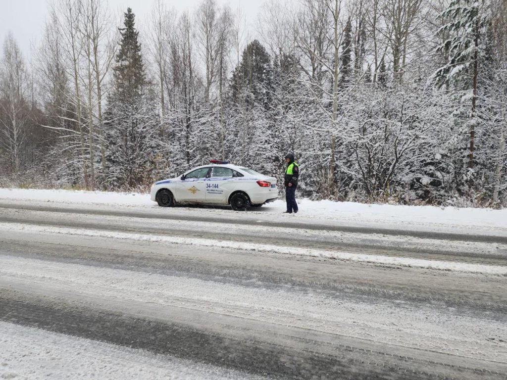 Уральские трассы засыпает снегом (ФОТО)