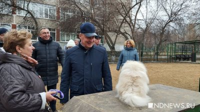 В Екатеринбурге станет больше собачьих площадок