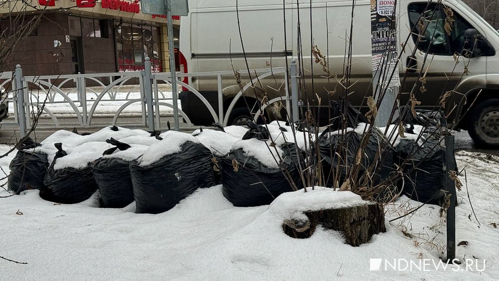 Новый День: Улицы Екатеринбурга тонут в грязи (ФОТО)