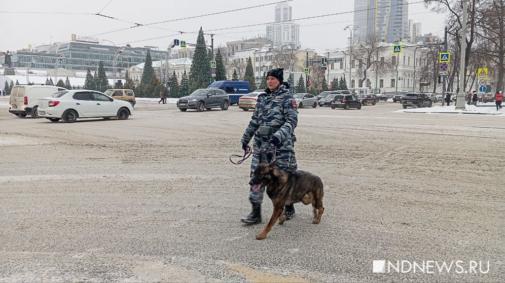 Новый День: Центр Екатеринбурга наводнили полиция и кинологи с собаками (ФОТО)