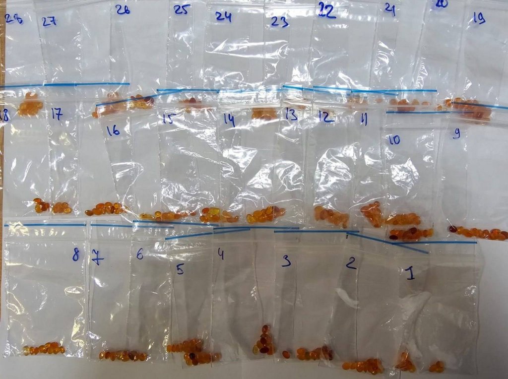 Уралец контрабандой привез из Таиланда больше тысячи полудрагоценных камней (ФОТО)