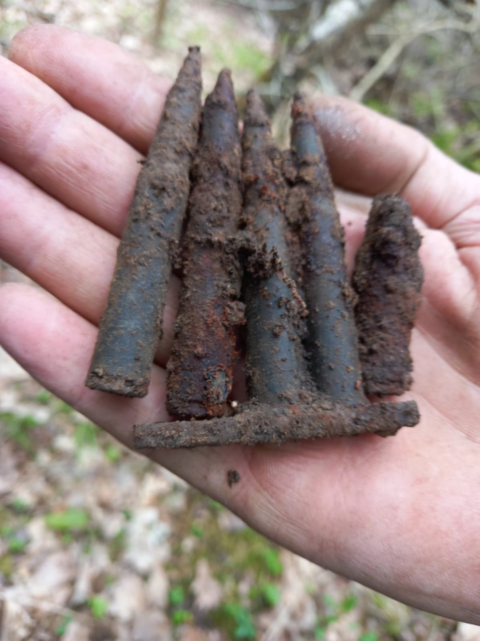 Уральский отряд едет под Тверь на поиск солдат времен Великой Отечественной (ФОТО)