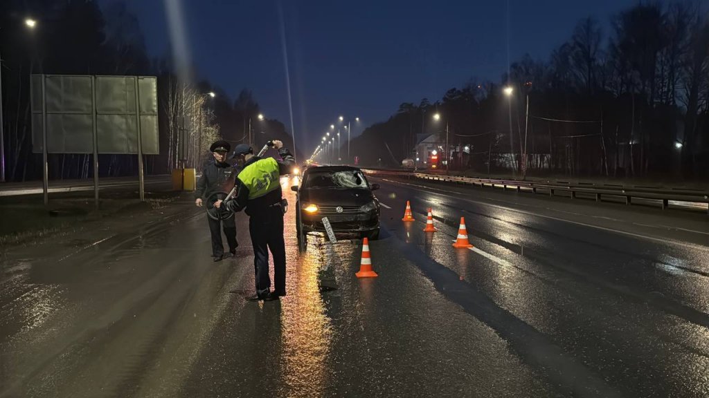 В Екатеринбурге водитель насмерть сбил мужчину, выбежавшего на дорогу (ФОТО)