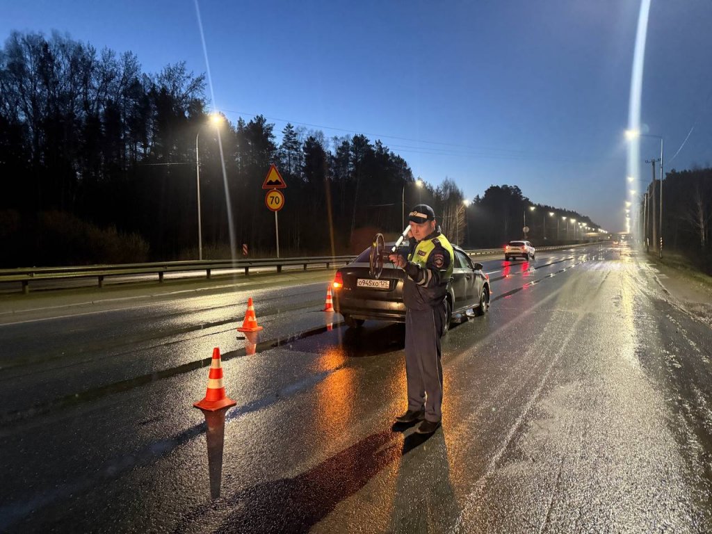 В Екатеринбурге водитель насмерть сбил мужчину, выбежавшего на дорогу (ФОТО)