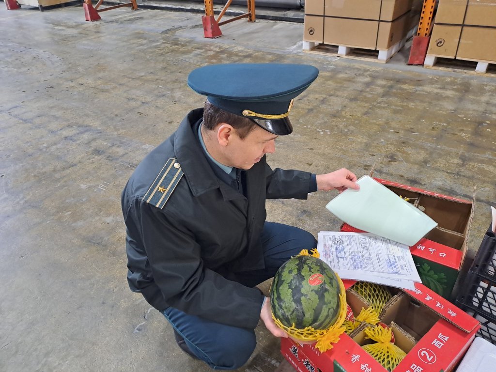 На Урал привезли более 120 тонн арбузов