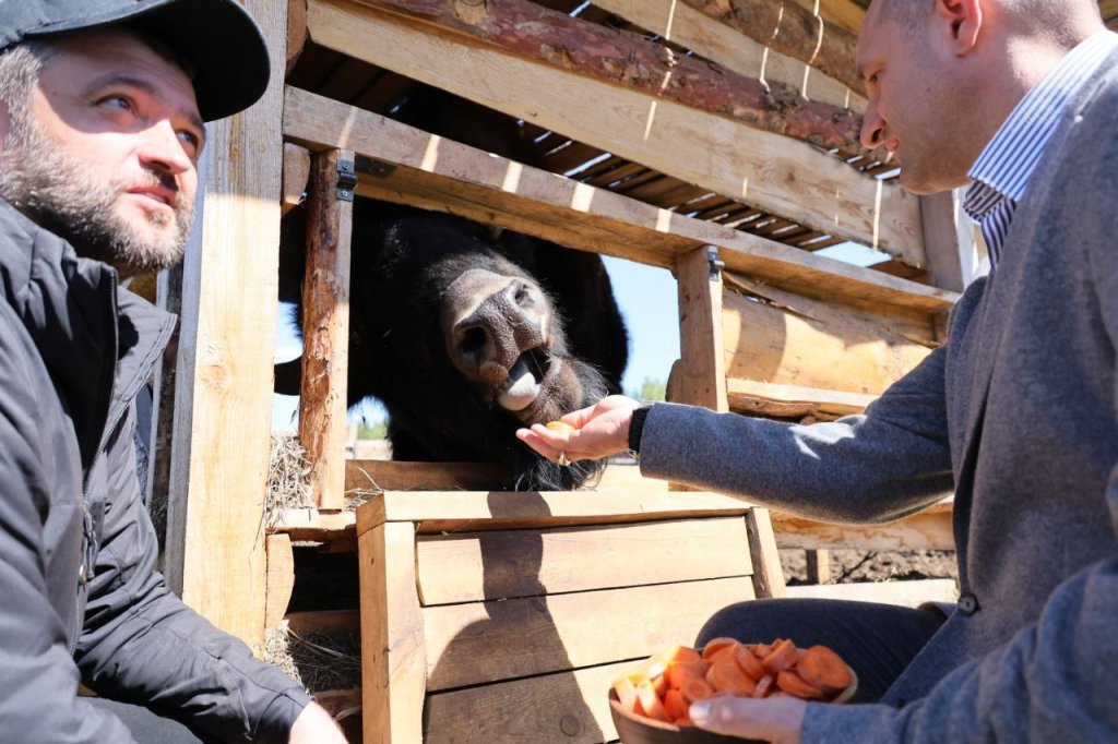 Полпред Жога пообщался с волками и медвежатами (ФОТО)