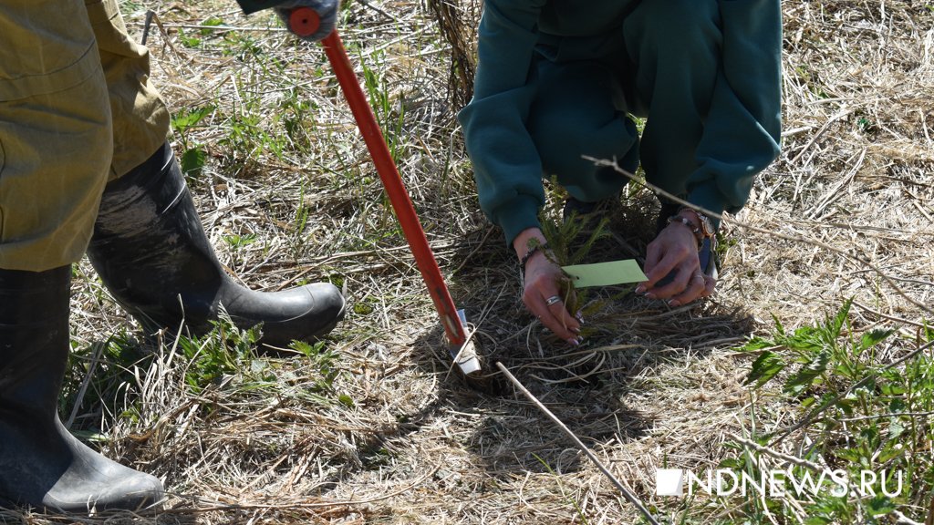 Энергетики рассказали екатеринбуржцам, как и зачем беречь ресурсы планеты (ФОТО)